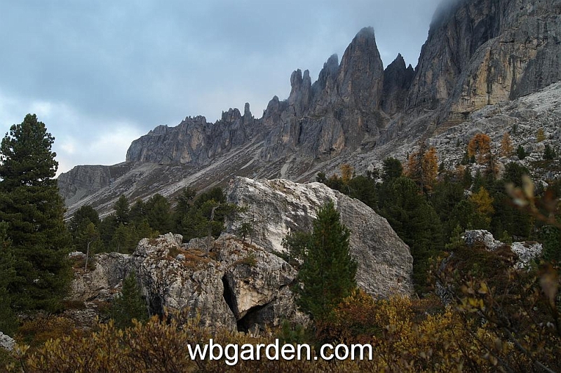 wbgarden alps 79.JPG